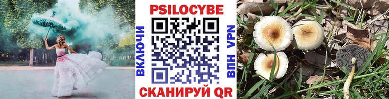 Галлюциногенные грибы ЛСД  купить наркоту  Гаврилов-Ям 